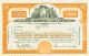1936 Stock Certificate - Packard Motor Car Company Stocks & Bonds, Scripophily photo 3