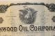 1921 Owenwood Oil Company Stock Certificate Fort Worth Texas Biplane In Vignette Stocks & Bonds, Scripophily photo 1