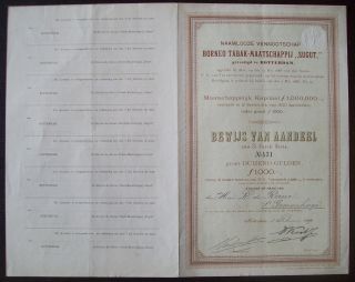 Netherlands 1898 Bond With Coupons Sugut Borneo Tabak Co.  Rotterdam.  R4022 photo
