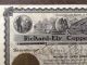 1907 Rickard - Ely Copper Company,  100 Shares,  Phoenix Arizona & Goldfield Nevada Stocks & Bonds, Scripophily photo 1