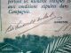 Colombian Rubber Share Certificate 1906 World photo 5