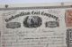 1865 Kaskawilliam Coal Company Stock Certificate Pennsylvania Scarce Civil War Stocks & Bonds, Scripophily photo 1
