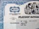 Framed & Dedicated Playboy Enterprises Inc Common Stock Certificate 2007 Stocks & Bonds, Scripophily photo 3