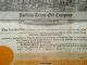 Buffalo - Texas Oil Co.  10,  000 Shares Stock Certificate 1924 Stocks & Bonds, Scripophily photo 2