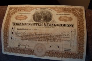 Vintage Arizona Stock Certificate 1922 Tuolumme Copper Mining Company 100 Shares photo