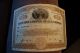Vintage Arizona Stock Certificate 1922 Tuolumme Copper Mining Company 100 Shares Stocks & Bonds, Scripophily photo 3