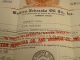 Stock Certificate 500 Shares Western Nebraska Oil & Uranium Co.  1956 Mining De Stocks & Bonds, Scripophily photo 2