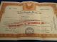 Stock Certificate 500 Shares Western Nebraska Oil & Uranium Co.  1956 Mining De Stocks & Bonds, Scripophily photo 5
