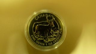 2013 1 Oz Ounce Canadian Antelope Gold Gilded.  9999 Silver Coin Wildlife Rare photo