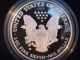 Two 2007 W Proof & State 2007 W Burnished Die Silver Eagles Silver photo 3