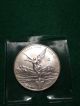 2005 Silver Coin 1 Troy Ozmexico Libertad.  999 Rare Date Silver photo 4