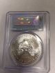 2011 American Silver Eagle Ms 69 First Strike Silver photo 2