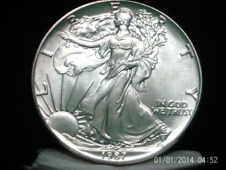 Coinhunters - 1987 American Silver Eagle - State/uncirculated photo