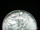 Coinhunters - 1987 American Silver Eagle - State/uncirculated Silver photo 1