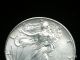 Coinhunters - 1995 American Silver Eagle - State/uncirculated Silver photo 1