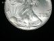 Coinhunters - 1995 American Silver Eagle - State/uncirculated Silver photo 2