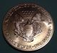 American Eagle 1oz Silver Coin 1992 Silver photo 1