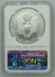 2000 Ngc Ms69 1oz American Silver Eagle $1 Coin - 303 - D2 Silver photo 1