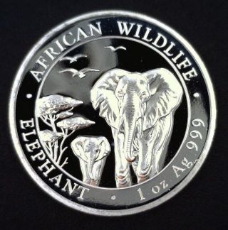 2015 Somali Elephant 100 Shillings 1oz.  999 Fine Silver Gem Bu photo