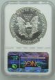 1989 Ngc Ms69 1oz American Silver Eagle $1 Coin - 208 - D2 Silver photo 1