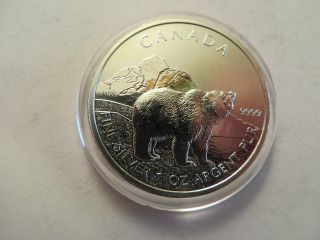 2011 Canada Wildlife Series,  Grizzley Bear,  1 Oz Fine Pure Silver photo