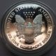 1999 Proof Silver Eagle With Capsule In Usa Silver photo 1
