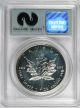 1989 $5 Silver Maple Leaf 9 - 11 - 01 Wtc Ground Zero Recovery Pcgs Gem Uncirculated Silver photo 1