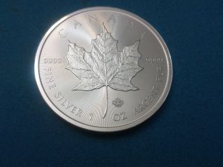 2014 Maple Leaf W/ml Privy 1 Oz.  9999 Fine Silver B/u photo