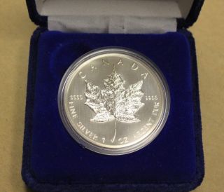 Canada 2007 $5 Fine Silver Maple Leaf Coin Reverse Queen Elizabeth Ii photo