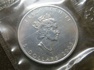2003 1 Oz Silver Maple Leaf $5 Canada Coin Mylar Pouch photo
