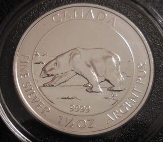 2013 1.  5 Oz Silver Canadian $8 Polar Bear.  9999 Fine Silver photo
