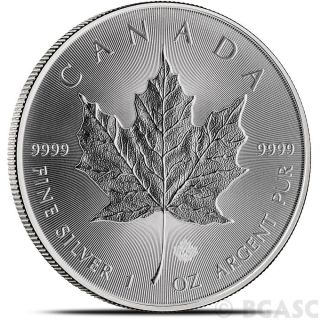 2014 1 Oz Silver Canadian Maple Leaf Bullion Coin.  9999 Fine Silver Bu Gem Sml photo