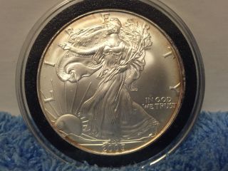 2005 Unc.  American Eagle Silver Dollar $1 Coin. photo