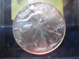1999 U.  S.  American Eagle Silver Dollar photo