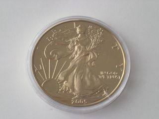 2005 American Silver Eagle 1oz Fine Silver 24kt Gold Plated photo