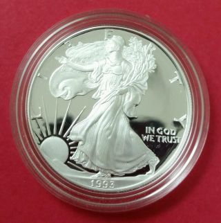 Very Rare Die Struck - Pit Error 1993 - P American Eagle Silver Proof Coin photo