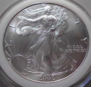 2002 American Silver Eagle Walking Liberty Dollar.  999 One Ounce Uncirculated Ms photo