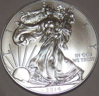 2014 Silver American Eagle Great Coin photo
