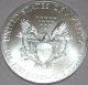 2014 Silver American Eagle Great Coin Silver photo 1