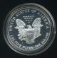1993 Proof Silver American Eagle 1 Oz.  Fine Silver With Boxes And Silver photo 1