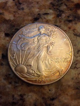 2001 American Eagle Walking Liberty.  999 Silver Dollar 1oz Coin photo