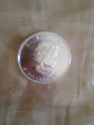 2006 Canada Silver 5 Dollar Elizabeth Ii 1oz.  9999 Fine Silver Pure (1 Coin) photo
