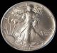 1991 American Silver Eagle Bullion Coin Rare Key Date Choice Gem Bu Nr Silver photo 1