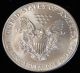 1991 American Silver Eagle Bullion Coin Rare Key Date Choice Gem Bu Nr Silver photo 2