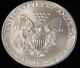 1991 American Silver Eagle Bullion Coin Rare Key Date Choice Gem Bu Nr Silver photo 3