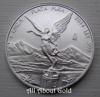 2014 Silver Coin 1 Troy Ounce Libertad Mexico Winged Liberty Victoria.  999 Bu photo