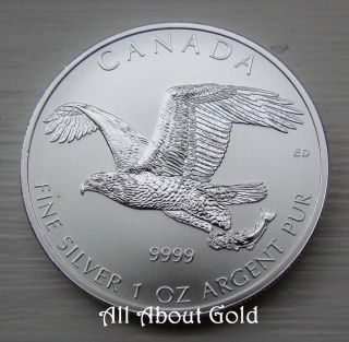 2014 Silver Coin 1 Troy Ounce Bald Eagle Birds Of Prey Canada.  9999 Bu photo