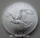 2014 Silver Coin 1 Troy Ounce Bald Eagle Birds Of Prey Canada.  9999 Bu Silver photo 2