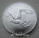 2014 Silver Coin 1 Troy Ounce Bald Eagle Birds Of Prey Canada.  9999 Bu Silver photo 3