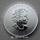 2014 Silver Coin 1 Troy Ounce Bald Eagle Birds Of Prey Canada.  9999 Bu Silver photo 4